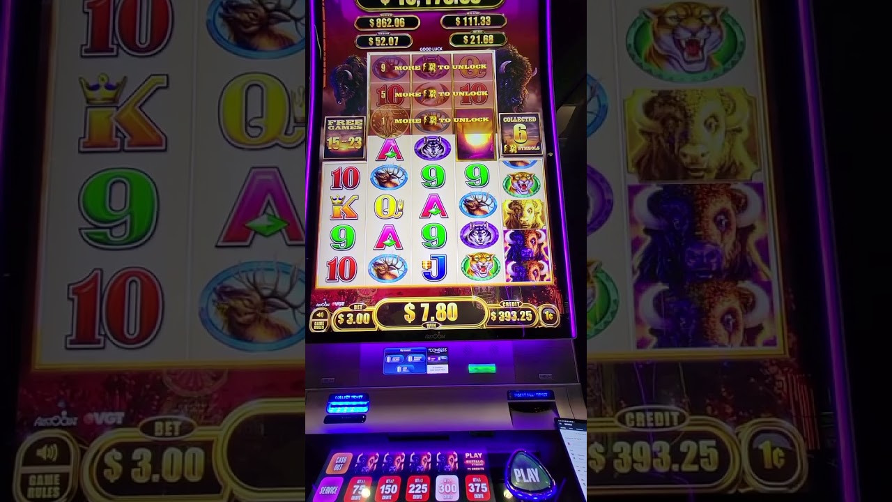 PROOF THAT SLOT MACHINE BONUSES ARE PREDETERMINDED