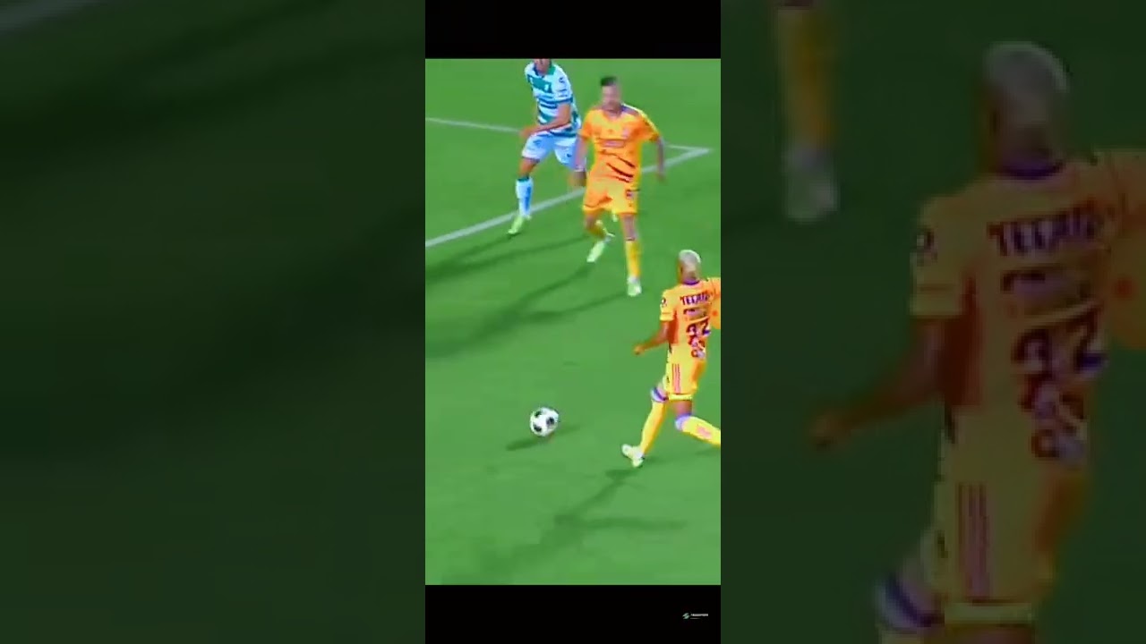 insano el albertano,,?????