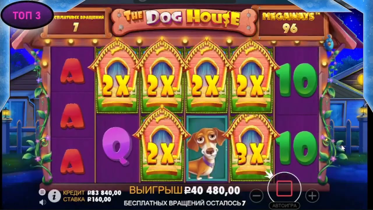 casino slots live stream,casino stream montanablack,casino online malaysia